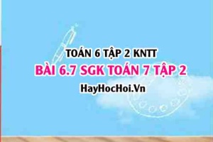 Bài 6.7 SGK Toán 7 tập 2 Kết nối tri thức
